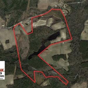 Photo of SOLD!!  197.24 Acres of Farm and Timber Land For Sale in Columbus County NC!