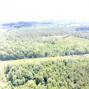 Photo of SOLD!!  197.24 Acres of Farm and Timber Land For Sale in Columbus County NC!