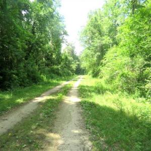 Photo of SOLD!!  197.24 Acres of Farm and Timber Land For Sale in Columbus County NC!