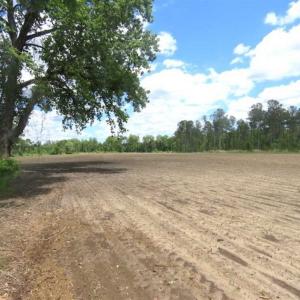 Photo of SOLD!!  197.24 Acres of Farm and Timber Land For Sale in Columbus County NC!
