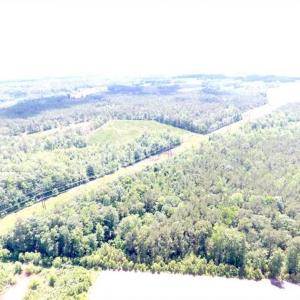 Photo of SOLD!!  197.24 Acres of Farm and Timber Land For Sale in Columbus County NC!