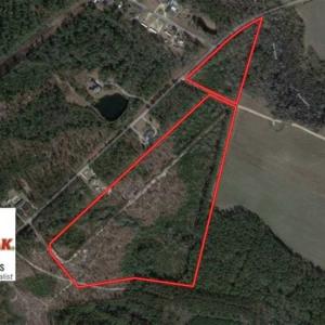 Photo of 48 Acres of Hunting and Timber Land for Sale in Dillon County SC!