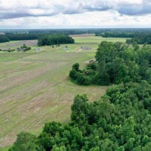 Photo of SOLD!!  40 Acres of Farm and Hunting Land for Sale in Robeson County NC!