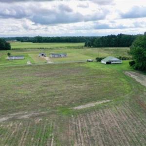 Photo of SOLD!!  40 Acres of Farm and Hunting Land for Sale in Robeson County NC!