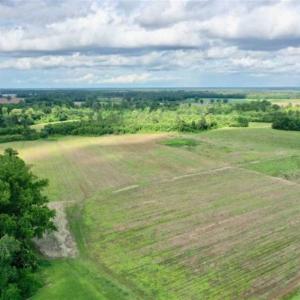 Photo of SOLD!!  40 Acres of Farm and Hunting Land for Sale in Robeson County NC!