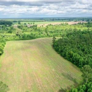 Photo of SOLD!!  40 Acres of Farm and Hunting Land for Sale in Robeson County NC!
