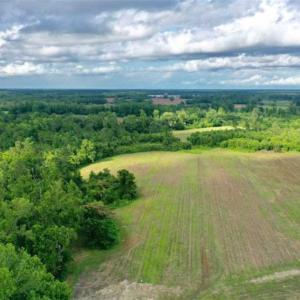 Photo of SOLD!!  40 Acres of Farm and Hunting Land for Sale in Robeson County NC!