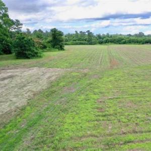 Photo of SOLD!!  40 Acres of Farm and Hunting Land for Sale in Robeson County NC!