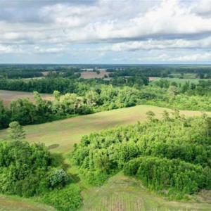 Photo of SOLD!!  40 Acres of Farm and Hunting Land for Sale in Robeson County NC!