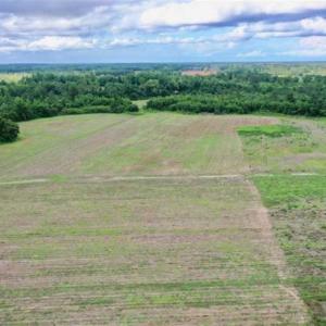 Photo of SOLD!!  40 Acres of Farm and Hunting Land for Sale in Robeson County NC!