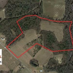 Photo of SOLD!!  40 Acres of Farm and Hunting Land for Sale in Robeson County NC!