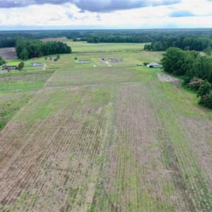 Photo of SOLD!!  40 Acres of Farm and Hunting Land for Sale in Robeson County NC!