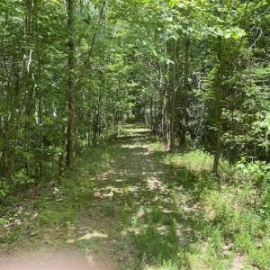 Photo of SOLD!!  10 Acres of Residential Land For Sale in Orange County NC!