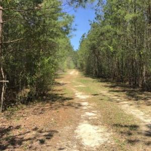 Photo of UNDER CONTRACT!!  257.92 Acres of Hunting and Timber Land For Sale in Brunswick County NC!