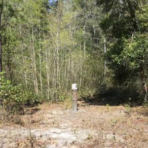 Photo of UNDER CONTRACT!!  257.92 Acres of Hunting and Timber Land For Sale in Brunswick County NC!