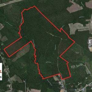Photo of UNDER CONTRACT!!  257.92 Acres of Hunting and Timber Land For Sale in Brunswick County NC!