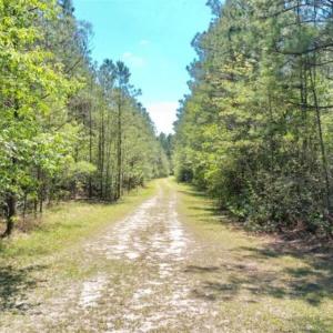 Photo of UNDER CONTRACT!!  257.92 Acres of Hunting and Timber Land For Sale in Brunswick County NC!
