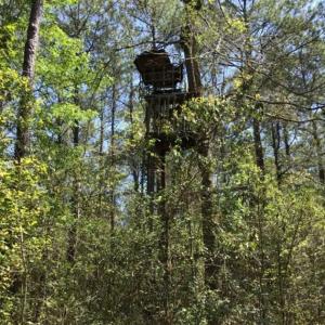 Photo of UNDER CONTRACT!!  257.92 Acres of Hunting and Timber Land For Sale in Brunswick County NC!