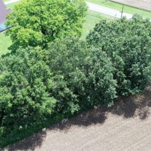 Photo of 0.50 Acre Residential Lot For Sale in Pitt County NC!