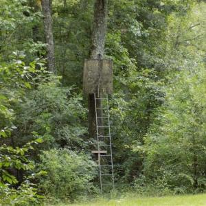 Photo of SOLD!!  445 Acres of Hunting Land with Home For Sale in Bamberg County SC!