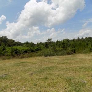Photo of SOLD!!  445 Acres of Hunting Land with Home For Sale in Bamberg County SC!