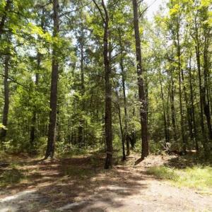 Photo of SOLD!!  445 Acres of Hunting Land with Home For Sale in Bamberg County SC!