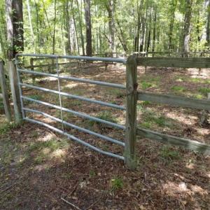 Photo of SOLD!!  445 Acres of Hunting Land with Home For Sale in Bamberg County SC!