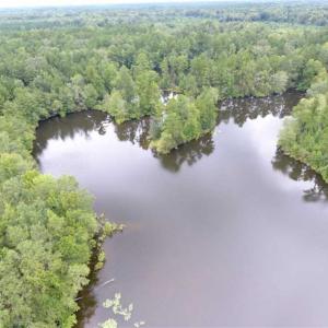 Photo of SOLD!!  445 Acres of Hunting Land with Home For Sale in Bamberg County SC!