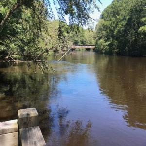 Photo of SOLD!!  445 Acres of Hunting Land with Home For Sale in Bamberg County SC!