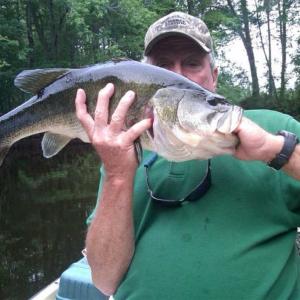 Photo of SOLD!!  445 Acres of Hunting Land with Home For Sale in Bamberg County SC!