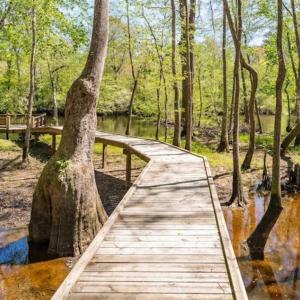 Photo of SOLD!!  445 Acres of Hunting Land with Home For Sale in Bamberg County SC!