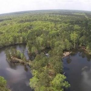 Photo of SOLD!!  445 Acres of Hunting Land with Home For Sale in Bamberg County SC!