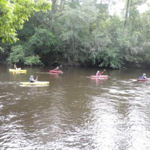 Photo of SOLD!!  445 Acres of Hunting Land with Home For Sale in Bamberg County SC!