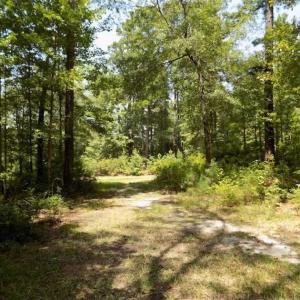Photo of SOLD!!  445 Acres of Hunting Land with Home For Sale in Bamberg County SC!