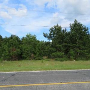 Photo of SOLD!!  44 Acres of Residential Land in Robeson County NC!