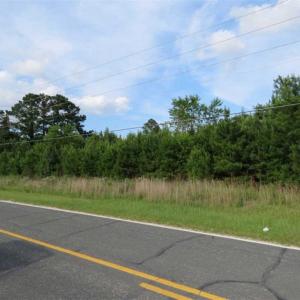 Photo of SOLD!!  44 Acres of Residential Land in Robeson County NC!