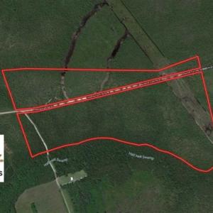 Photo of SOLD!!  88.76 Acres of Hunting and Timber Land for Sale in Brunswick County NC!
