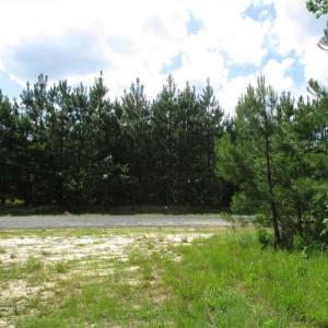 Photo of 102 Acres of Timber and Hunting Land in King and Queen Co. VA!