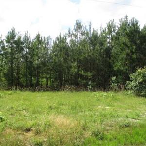Photo of 102 Acres of Timber and Hunting Land in King and Queen Co. VA!