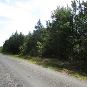 Photo of 102 Acres of Timber and Hunting Land in King and Queen Co. VA!