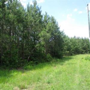 Photo of 102 Acres of Timber and Hunting Land in King and Queen Co. VA!