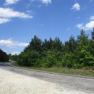 Photo of 102 Acres of Timber and Hunting Land in King and Queen Co. VA!