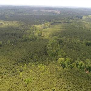 Photo of 102 Acres of Timber and Hunting Land in King and Queen Co. VA!