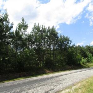 Photo of 102 Acres of Timber and Hunting Land in King and Queen Co. VA!