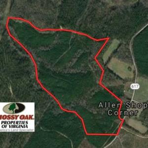 Photo of 102 Acres of Timber and Hunting Land in King and Queen Co. VA!