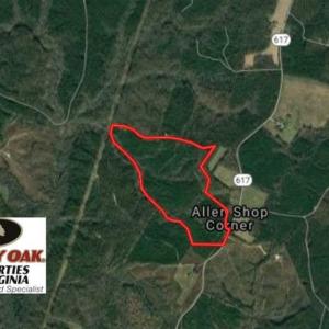 Photo of 102 Acres of Timber and Hunting Land in King and Queen Co. VA!