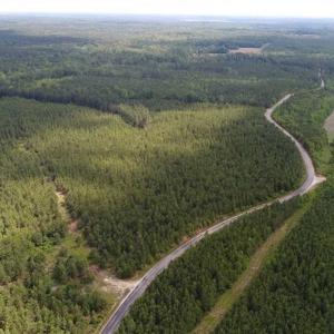 Photo of 98 Acres of Timber and Hunting Land for Sale in King and Queen Co. VA!