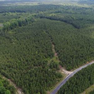 Photo of 98 Acres of Timber and Hunting Land for Sale in King and Queen Co. VA!