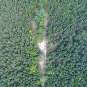 Photo of 98 Acres of Timber and Hunting Land for Sale in King and Queen Co. VA!