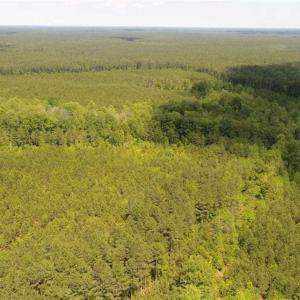Photo of 98 Acres of Timber and Hunting Land for Sale in King and Queen Co. VA!